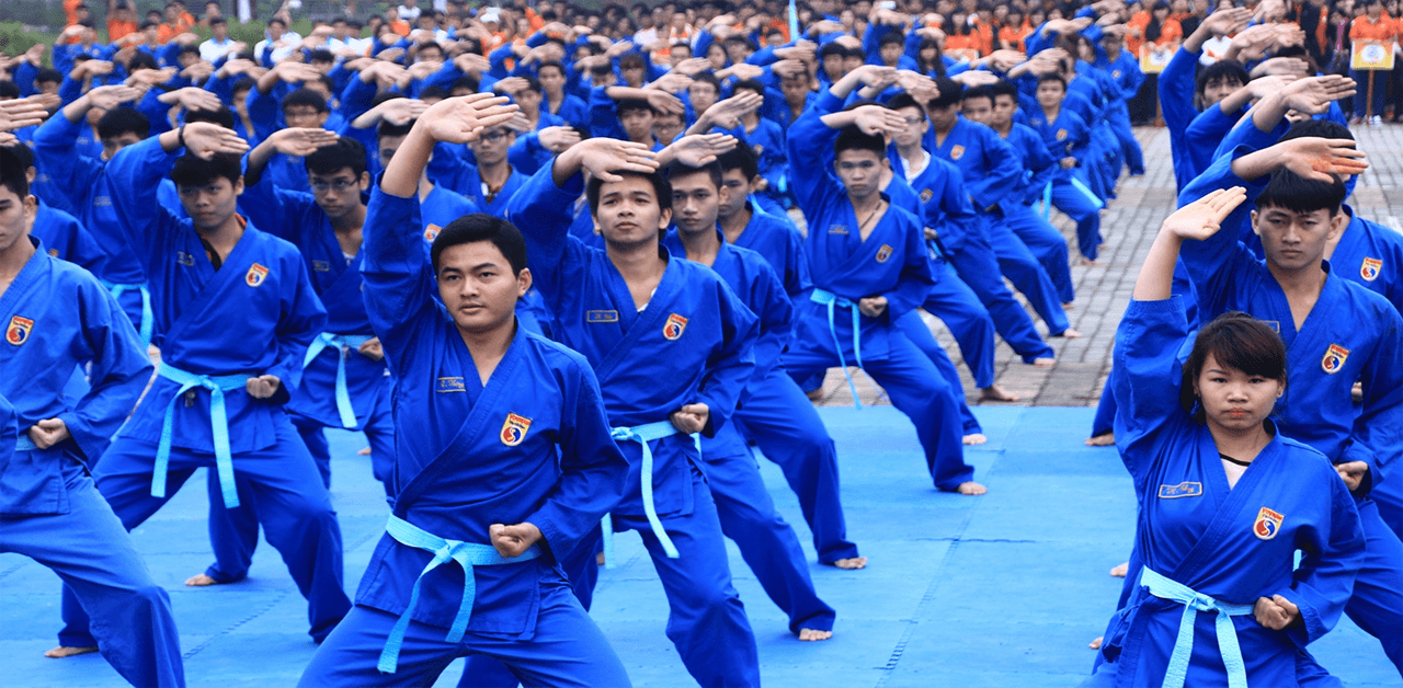 vovinam-la-gi