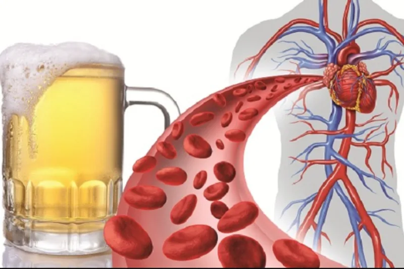 Uống rượu bia thường xuyên có thể khiến việc kiểm soát mỡ máu khó khăn hơn
